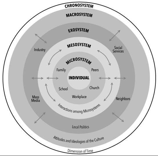 Systems theory. Модель экологических систем Ури Бронфенбреннера. Social ecological Theory. System Theory. Микросистема мезосистема экзосистема макросистема.